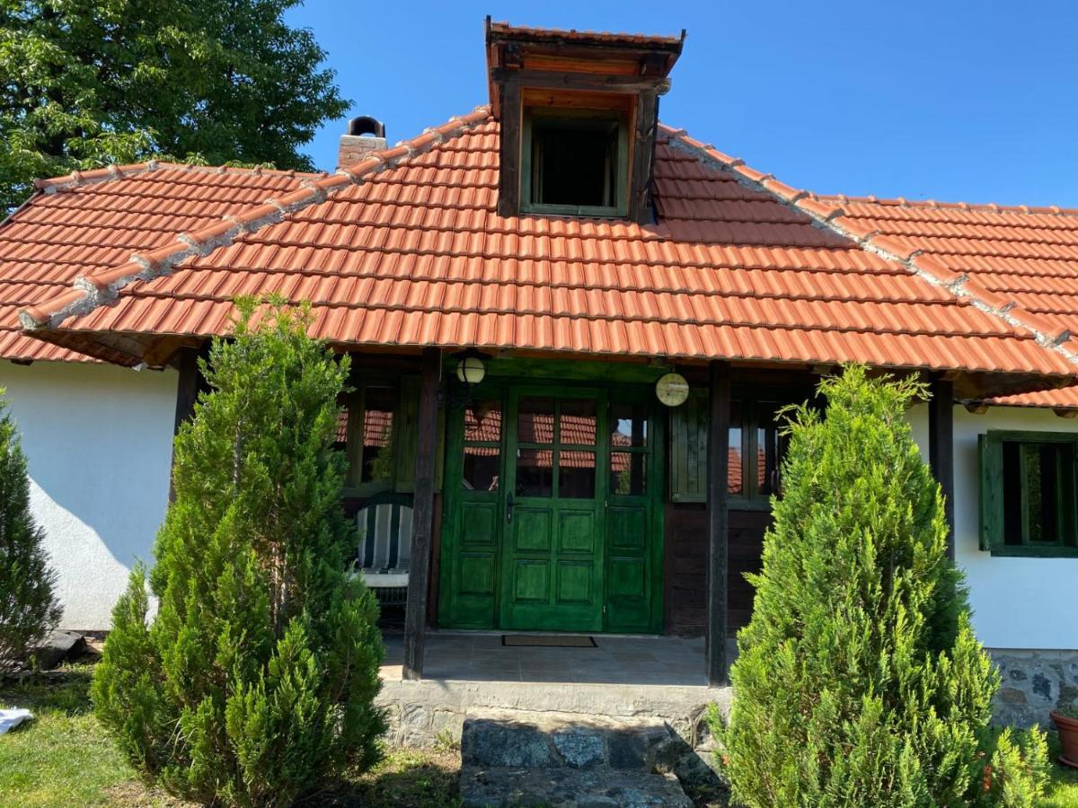 Apartamento Camp Viljamovka Kremna Exterior foto