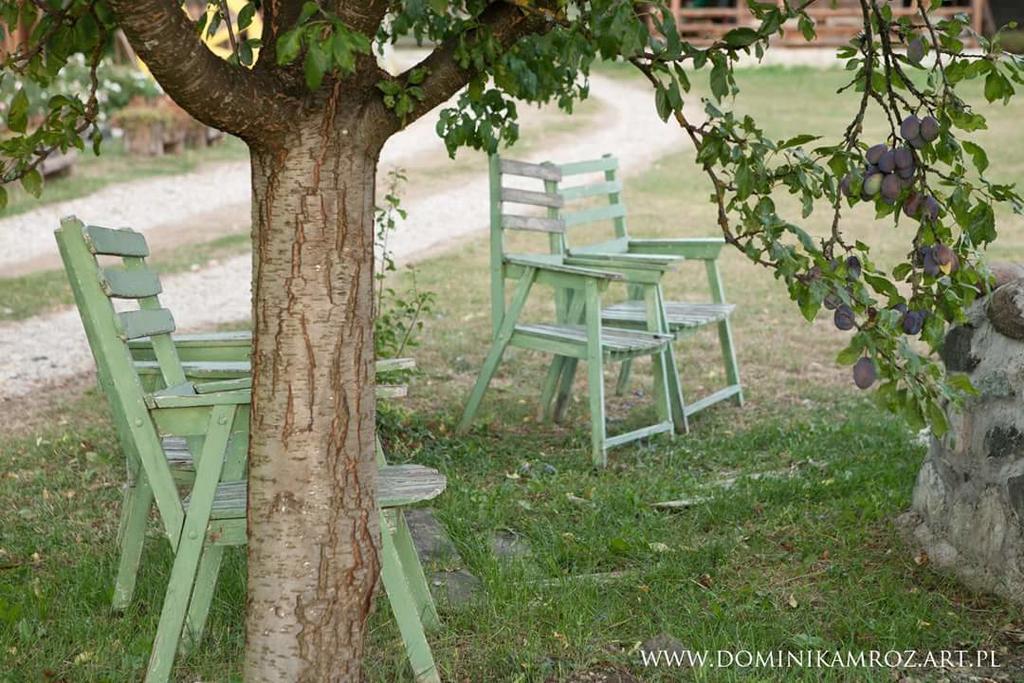 Apartamento Camp Viljamovka Kremna Exterior foto